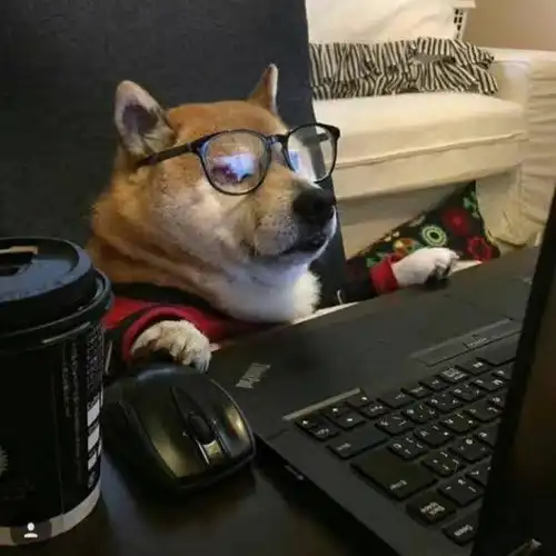 python中文商品评论分析学习笔记