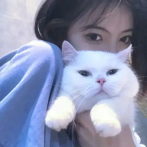 可爱干净女生头像抱着猫猫