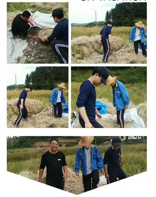 耒阳一中一对双胞胎兄弟高考双双超600分