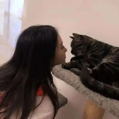 头像图片丨女生头像丨可爱的猫系女头1214