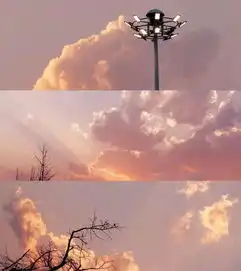 动心的时候万物复苏一切都奔向欢喜