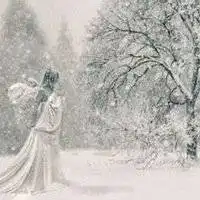 微信头像雪花的图片唯美白茫茫雪花微信头像