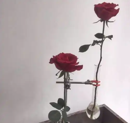 我欠自己良多,不欠你分毫