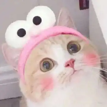 微商名字贵妇命这些小众护肤才是真凡尔赛必备