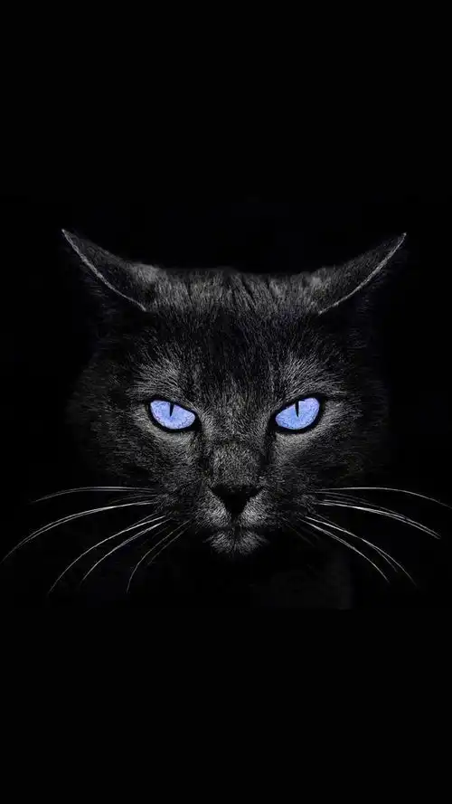 黑色系个性壁纸,第三弹