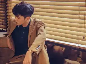 禁欲系男生