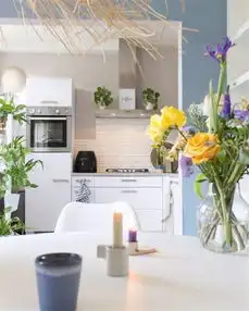 看着都让人舒服的蓝色系