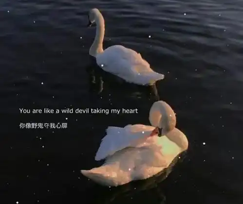 失恋男孩专属的qq句子,句句丧到爆炸,小编已看哭