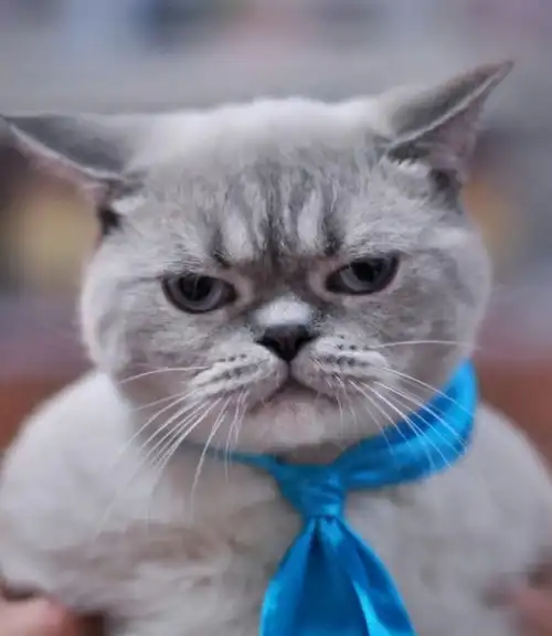 看到哥们这个面孔和漂亮的女友,我又相信爱情了