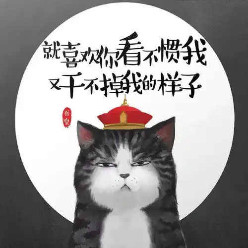领克x吾皇相携,汽车与萌宠的碰撞
