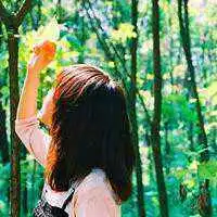 微信头像可以用荷花微信头像图片大全