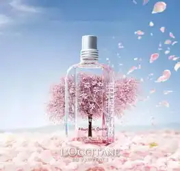 2016最强赏樱攻略吃花指南在这里