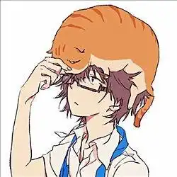 一只猫趴在男孩子脸上动漫图片