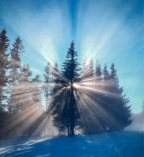 柬埔寨美女在越南摄影,澳大利亚青蛙一口吃掉蛇,一组照片开眼界