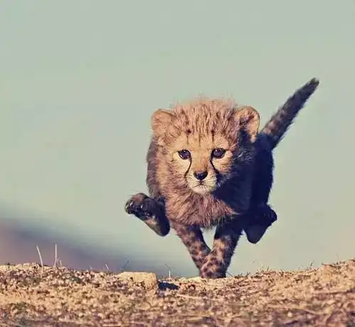 小长假余额不足,今天请准备好3样东西尤其是最后一样,不然明天就惨了