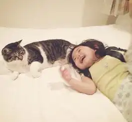 将来生了女儿一定要养只猫,然后...