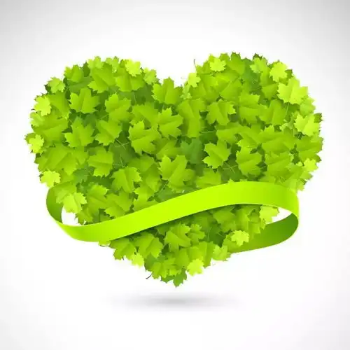 绿色系女生头像捧花绿色