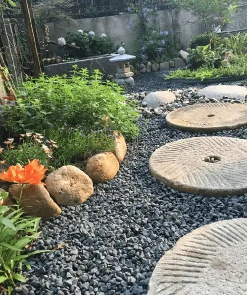 废弃小院摇身一变成治愈系花园