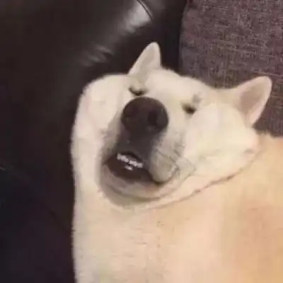 qq搞笑头像搞笑头像大全搞笑头像男生女生腾牛个性网