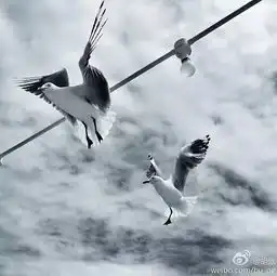 宗主伪装者艺术家胡歌你到底有多少个马甲