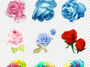 卡通玫瑰花花朵手绘月季玫瑰花水墨花卉海报png素材图片模板下载48.91mb其他大全生活工作