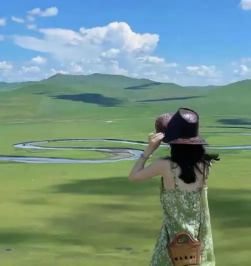 高级感背影头像