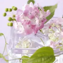 电脑显示器的屏幕一直出现亮度调节的窗口,而且关不掉,关掉了,也一会就打开了zol问答