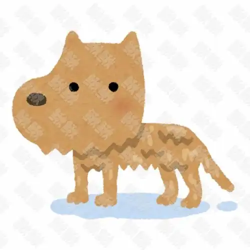 淋雨淋湿漉漉的小狗狗猫咪小猫手绘卡通插画手绘png儿童插画免扣素材2阿猫阿狗