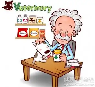 子宫破裂怀孕的风险