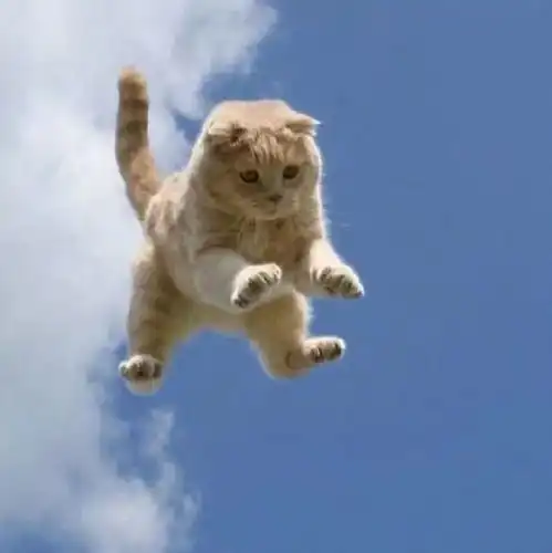 头像背景丨和你今年明年年年