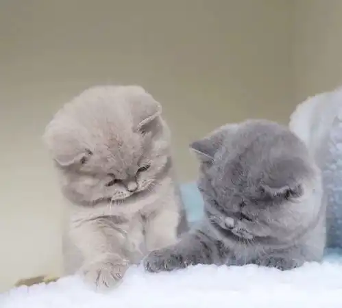 我的闺蜜亲手毁了我她说她是为了我好