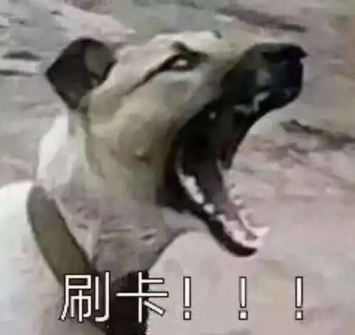 双十一不要再买这些了,买过的都后悔了