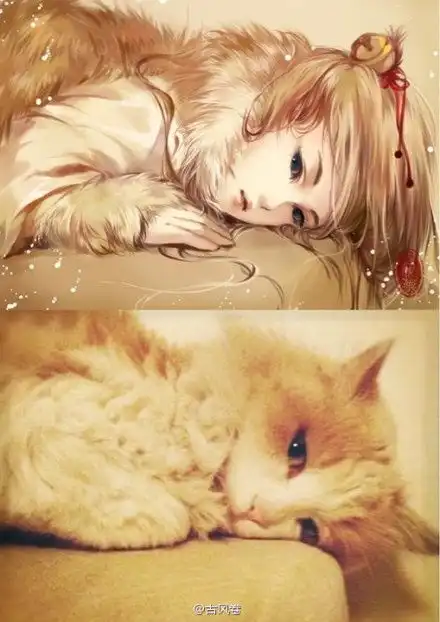 美丽的东西要分享