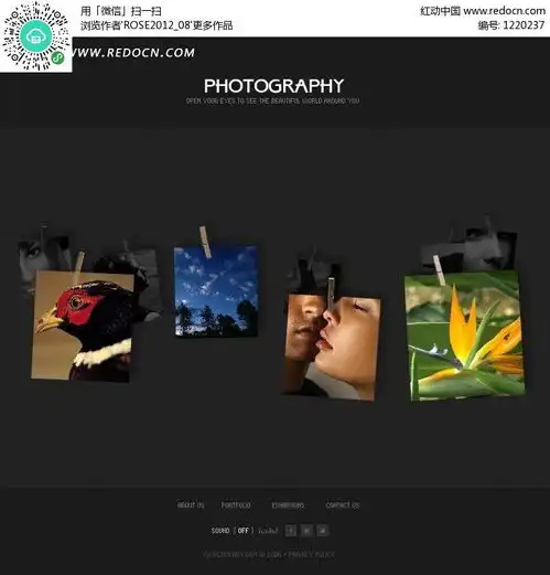 灰色调图片展示类欧美网页模板源码素材免费下载红动网