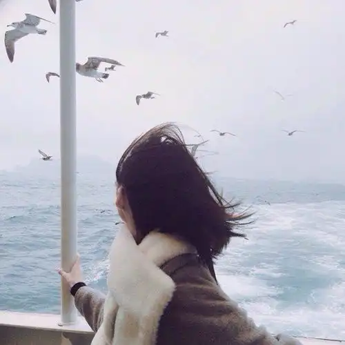 韩系头像背影男双影