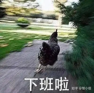 没有困难的家居生活,只有勇敢的打工人