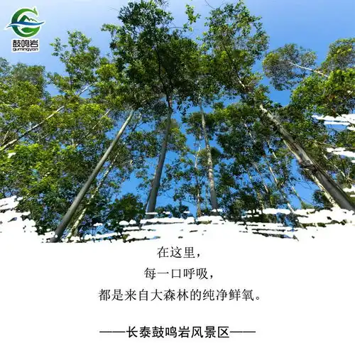 鼓鸣岩景区开园啦,天然氧吧欢迎您