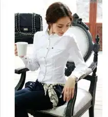 2012夏季新版名媛气质修身显瘦ol职业白领衬衫女长袖丝棉衬衣