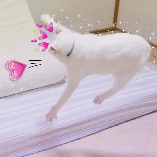 情侣头像世上五味俱全,有你就很甜,土味套路情话