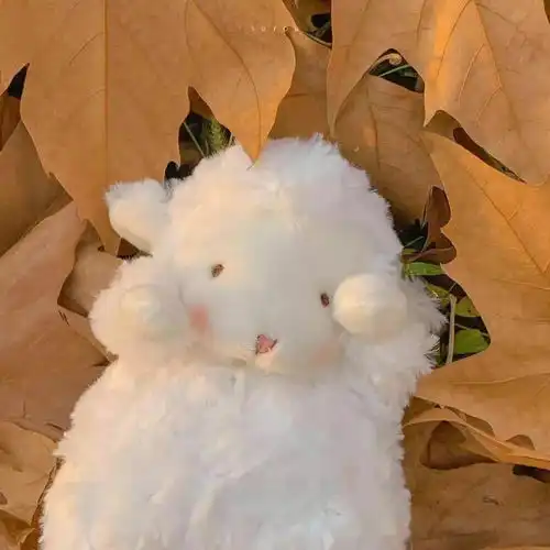 四人闺蜜头像我们是永远的好朋友