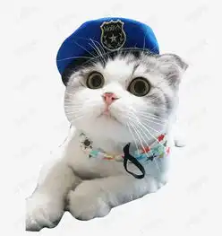 戴帽子猫咪素材图片免费下载高清产品实物png千库网图片编号6099450