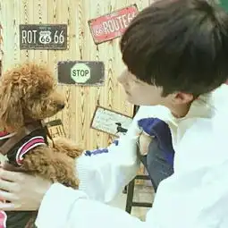 这个头像有对应的情头么发个图给我呗