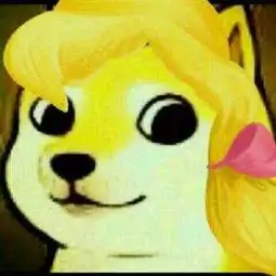 收集这个类型的doge卡通头像谢谢了