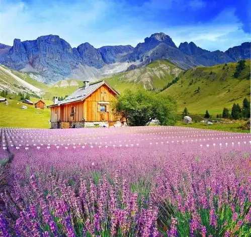 头像图片大全风景情