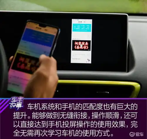 猫系青年的欧拉白猫深度吸猫指南