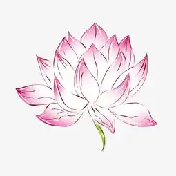 手绘植物粉红色手绘荷花图片素材其他格式下载动漫人物大全