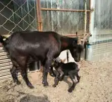 黄页88高清图片
