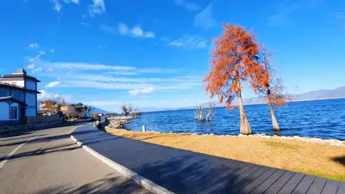冬天的大理天空很蓝很美很安静大理洱海治愈系风景