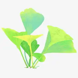 卡通手绘水彩植物插画三叶草图片素材其他格式下载动漫人物大全