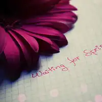 带花朵的唯美个性头像